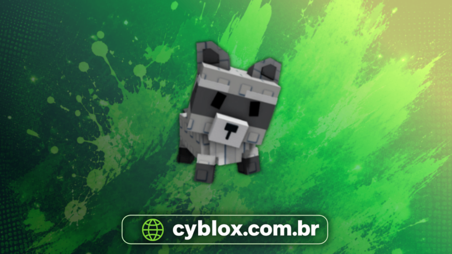 🌟 RACCOON (1x) 🌟